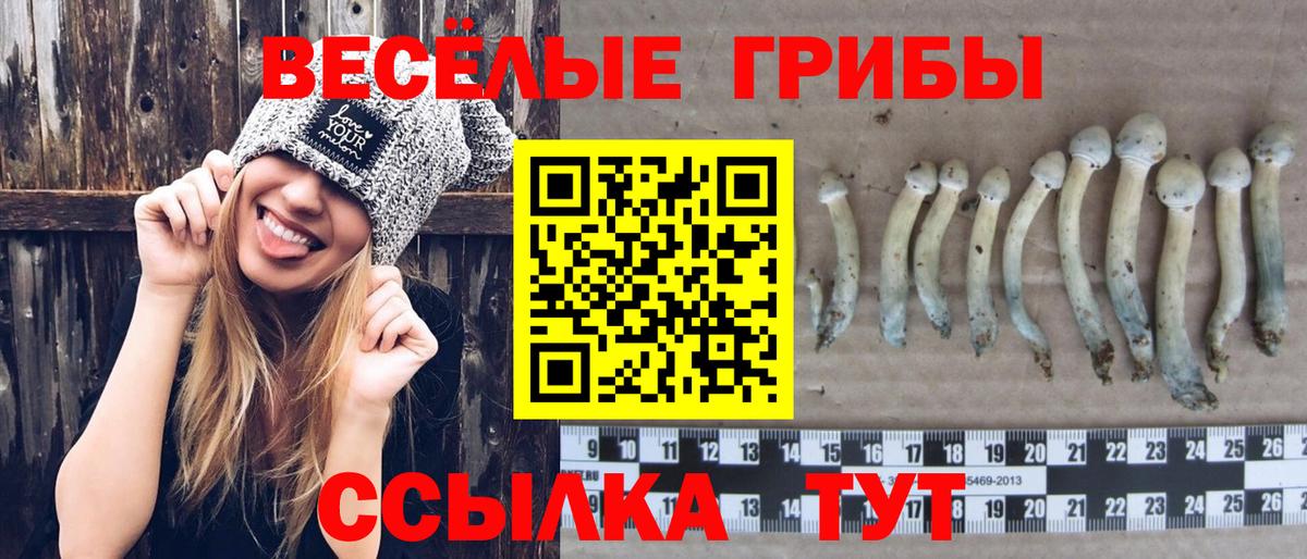 Псилоцибиновые грибы прущие грибы Кувандык