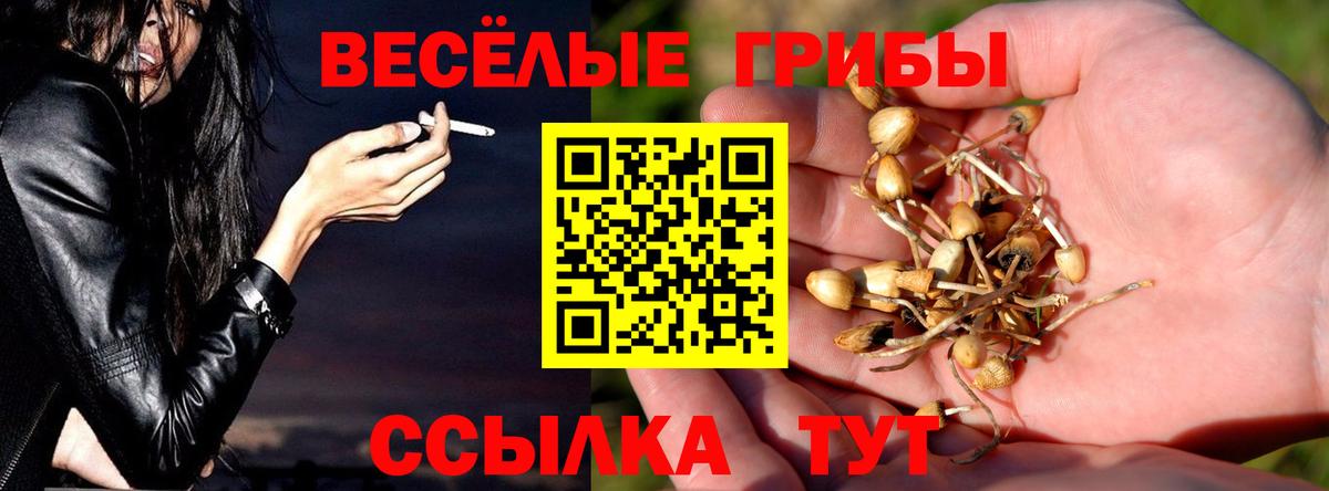 Кувандык  Галлюциногенные грибы Cubensis  Галлюциногенные грибы GOLDEN TEACHER  Вход с VPN 